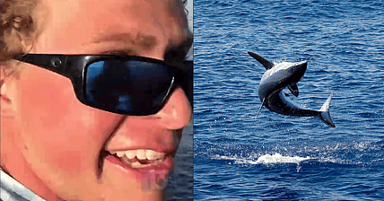 Mako Shark Bro