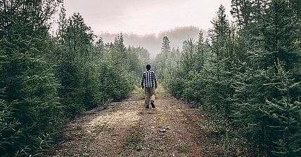 Man against nature