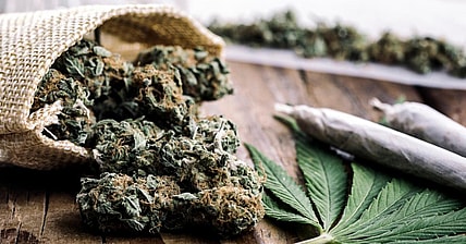 Marijuana Promo