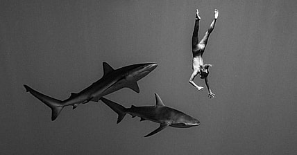 Marisa Papen With Sharks Promo