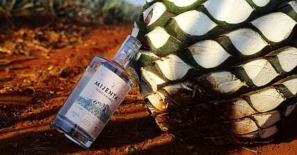 mijenta tequila promo