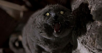 PetSematary