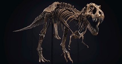Stan T-Rex Promo