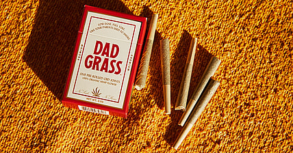 Dad Grass Promo