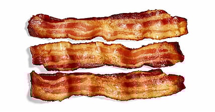Bacon Promo [Sam Kaplan/Trunk Archive]