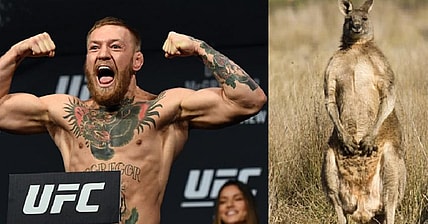 Conor McGregor and a Kangaroo