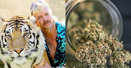 Joe Exotic marijuana promo