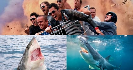 jackass-shark-week-2