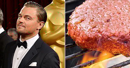 leonardo-dicaprio-beef-promo