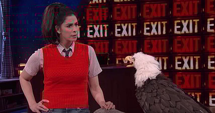 sarah-silverman-bald-eagle-promo