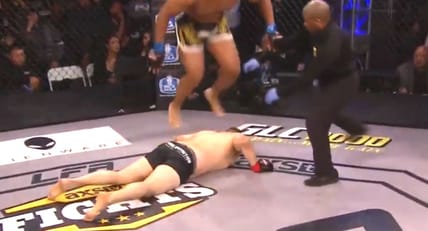 MMA Flip