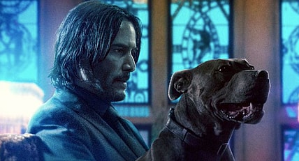 Screen Shot 2019-03-21 at 11.53.05 AM