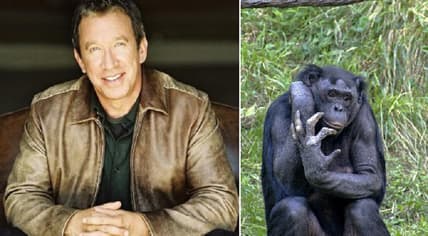 Tim Allen and a chimp