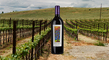 red wine from Darcie Kent vineyards in Livermore, California