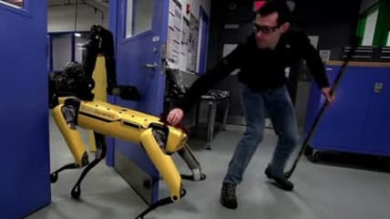 Robot dog fight