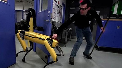 Robot dog fight