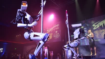 Pole-dancing robots at CES