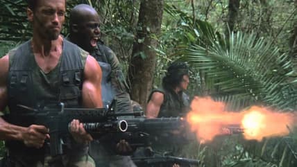 predator