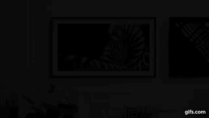 The Frame display