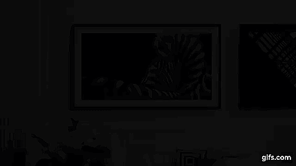 The Frame display