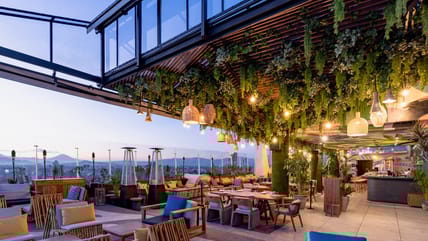 The Hottest Spots In Mexico City's Trendy Condesa & Roma Neighborhoods