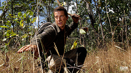 Bear-Grylls-man-wild-main