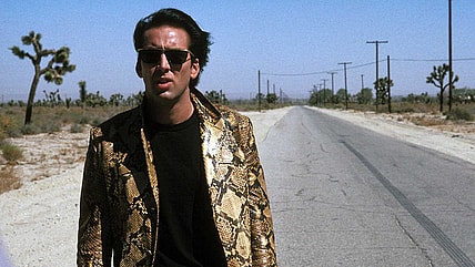nicolas cage in wild at heart