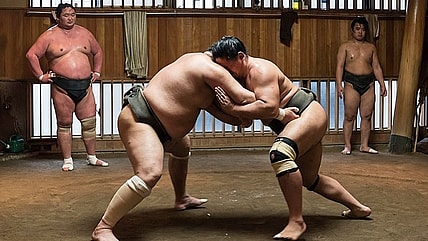 Sumos in the ring