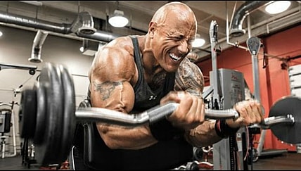the rock