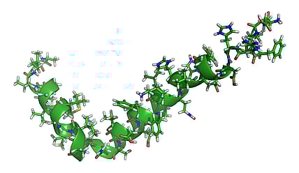 Amyloid-beta-42_1IYT.png