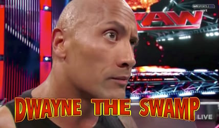 the rock for president