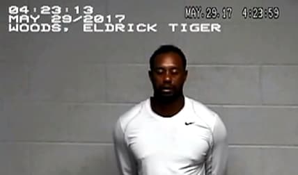Tiger Woods booking