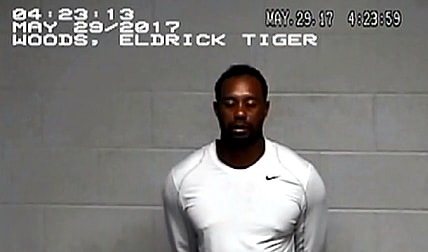 Tiger Woods booking