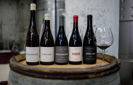 Portuguese wines from Luis Seabra