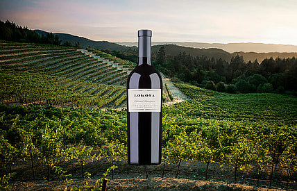 A Cabernet Sauvignon from Lokoya in Napa Valley