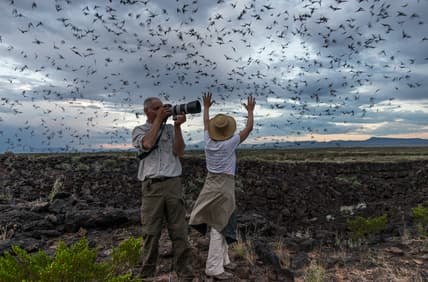 Armendaris_Ranch_2015-11.jpg