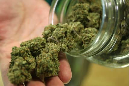 np_022416_marijuana.jpg