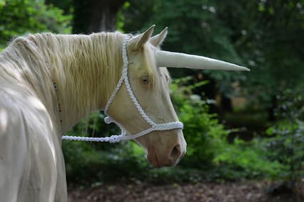 Unicorn Getty