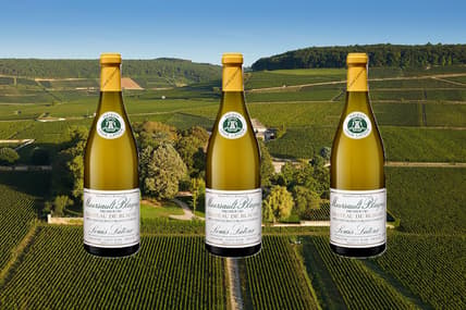 Wine of the Week