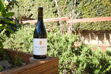 Pali Wine Pinot Noir 2022 2_Courtesy of Pali Wine Co