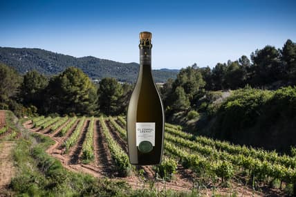 Albet i Noya Cremant