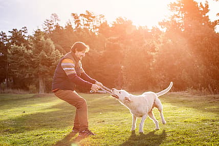 man with dog stock