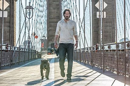 john wick dog