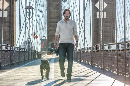 john wick dog