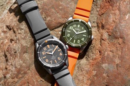shinola duck