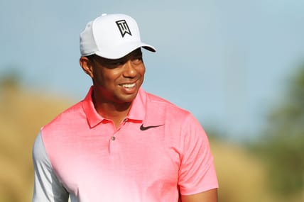 tiger woods