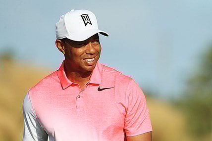 tiger woods