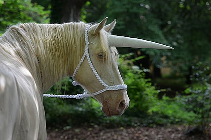 Unicorn Getty