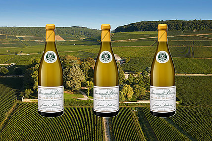 Wine of the Week