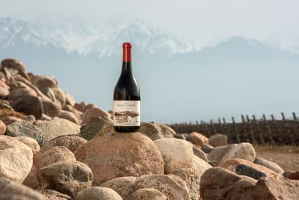 Finca Piedra Infinita (Terroir) (1)